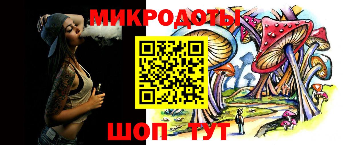 Ртищево  Псилоцибиновые грибы Psilocybine cubensis  Вход с VPN 